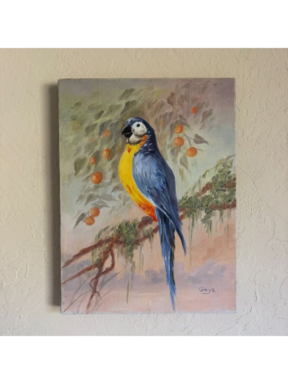 Vintage Oil Painting Macaw Portrait Canvas Tropical Floral Parrot Bird 11.5" x 8